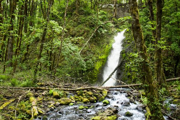 Ruckel Creek Waterfall, Oregon