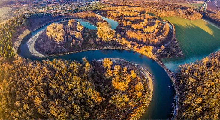 Meandering Morava river