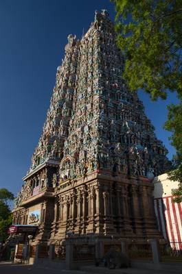 Madurai - Meenakshi Amman Temple