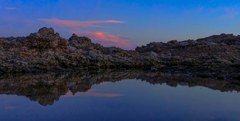 Pond reflections