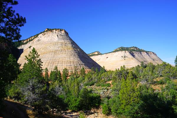 Checkerboard Mesa, Zion NP, Utah