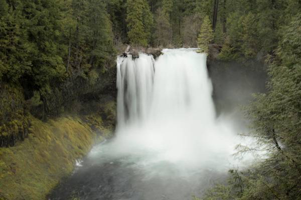 Koosah Falls, Oregon