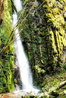 Soda Creek Falls, Waterfalls, Oregon