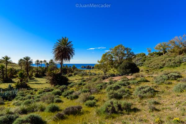 Isleta del Moro