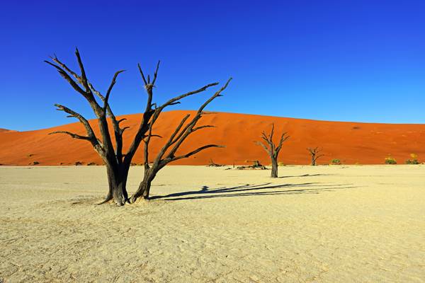 White, red & deep blue, Deadvlei, Namibia