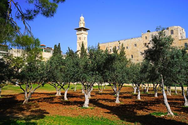 Garden of the Temple Mount, Jerusalem, Israel