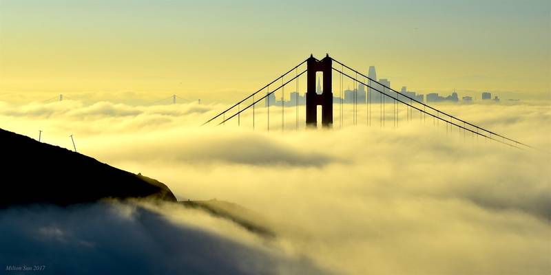 Mirage｜The City above the Low Fog, San Francisco