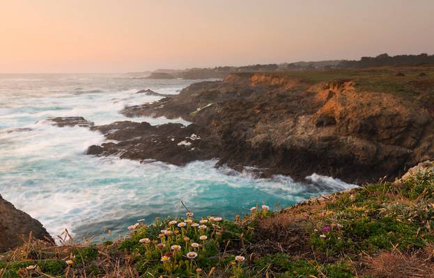 Keep your face always toward the sunshine - and shadows will fall behind you...