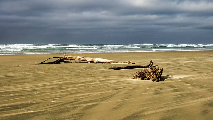 Governor Patterson State Park, Oregon