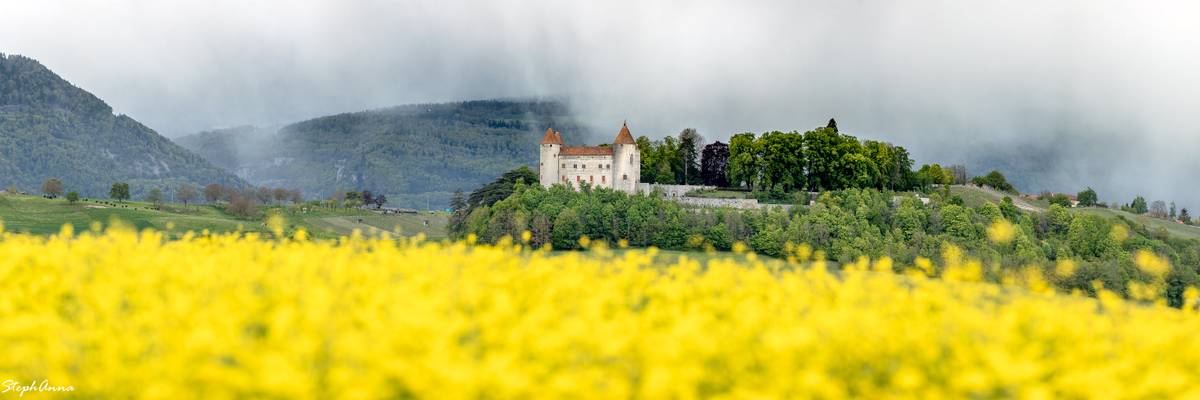 Château de Champvent en printemps