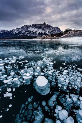 Ice Bubbles on Abraham Lake