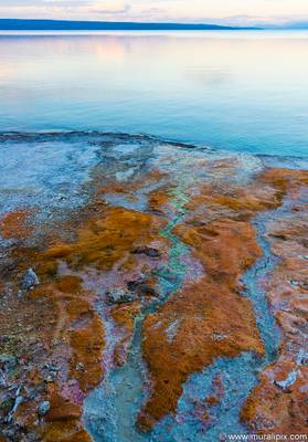 Colors on the shores of Yellowstone Lake @ West Thumb Geyser Basin