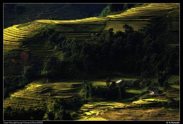 Sapa_MuongKhuong_130915_071439_ND800E_0004_s