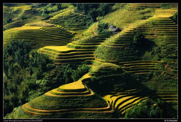 Sapa_MuongKhuong_130915_082643_ND800E_0015_s