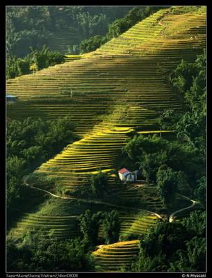 Sapa_MuongKhuong_130915_075019_ND800E_0013_s