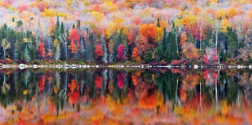 Fall Reflections at Ricker Pond