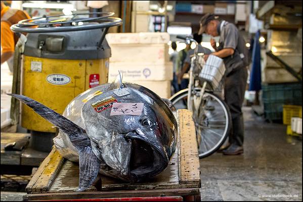 Big Tuna At Tsukiji Fish Market
