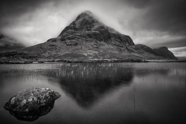 The wee Buachaille