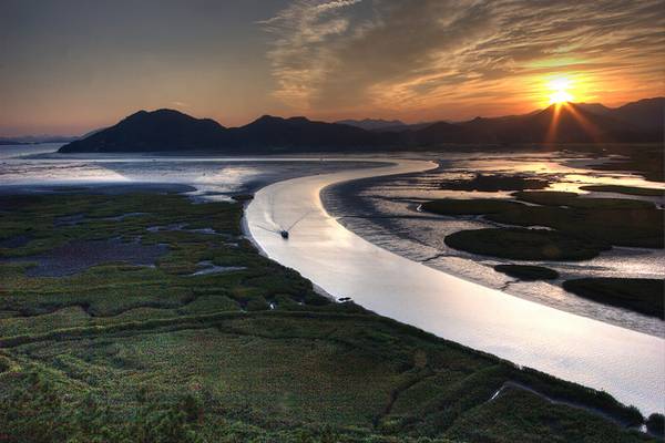 Suncheon Bay Sunset