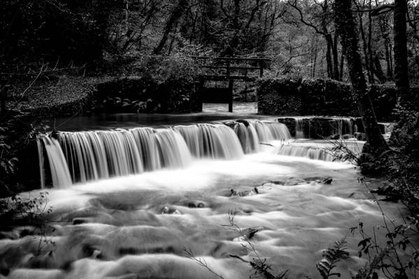 Cotehele Weir (Mono)