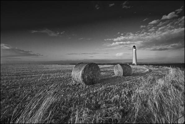 Hay Bales at Scurdie (Explored)