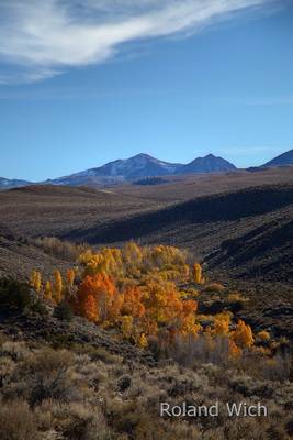 Autumn near Bodie