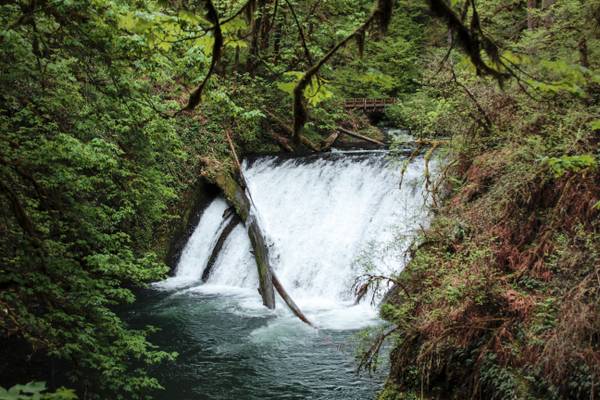 Lower North Falls, Waterfall, Oregon