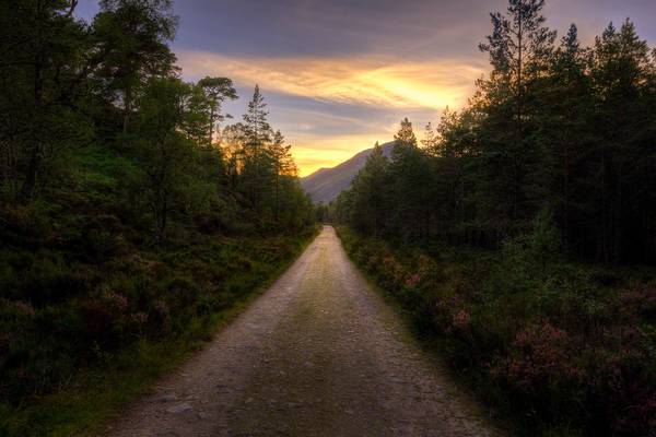 Glen Affric Trail