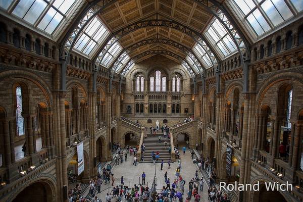 London - Natural History Museum