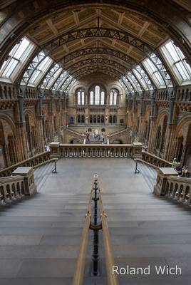 London - Natural History Museum