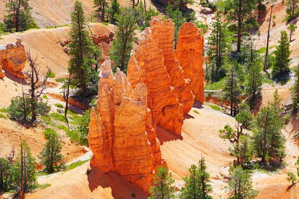 Queens Garden Trail from above, Bryce Canyon, Utah