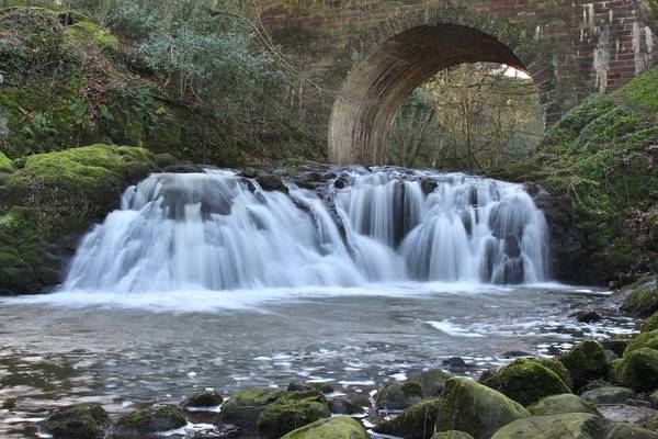 Arbirlot Falls