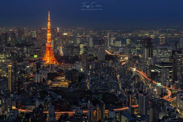 Tokyo Tower blue hour