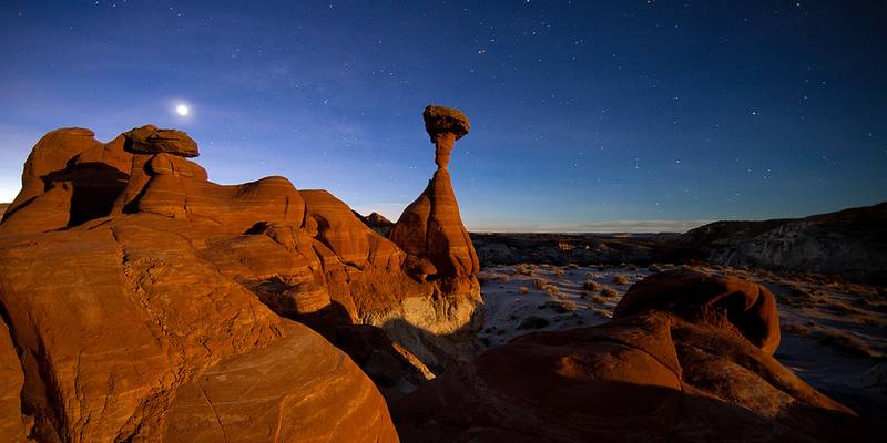 Milky Way and Venus Rising over the Toadstools