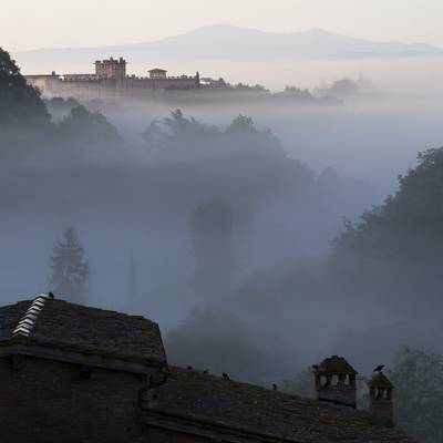 Tuscan mist