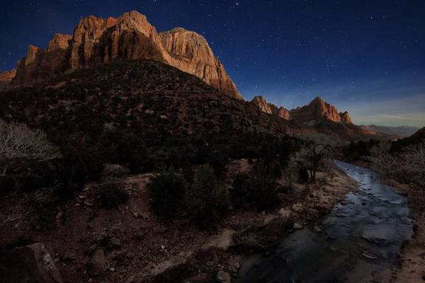 The Watchman Under the Moonlight