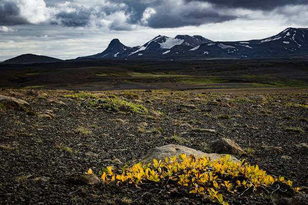 Iceland 2016 - Road F35 Kjölur