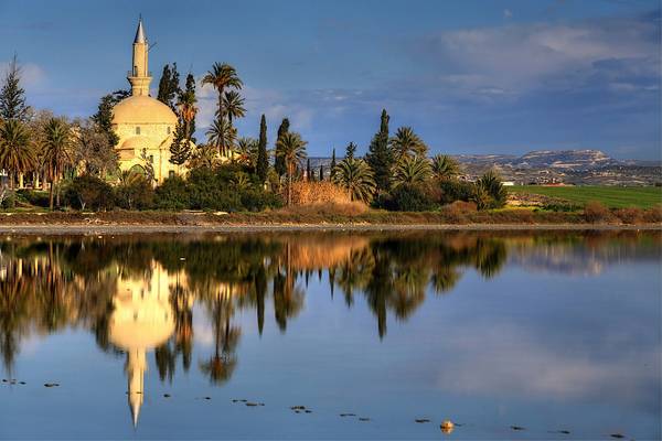 Tekke Reflections