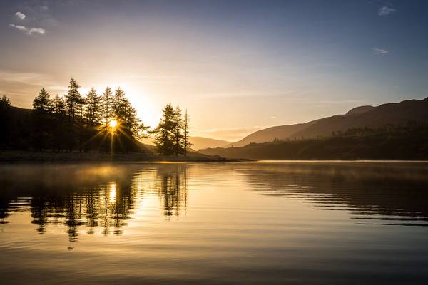 Mist in The Morning Sun