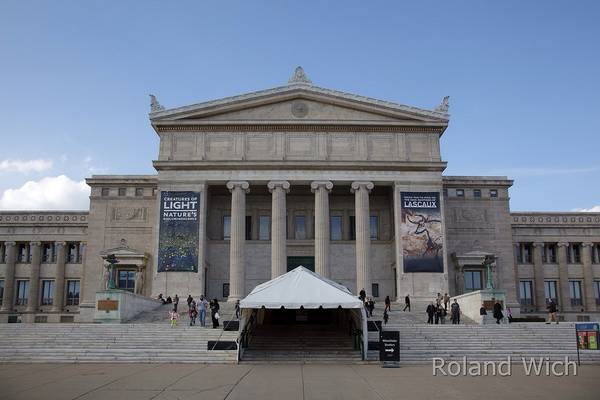 Chicago - The Field Museum