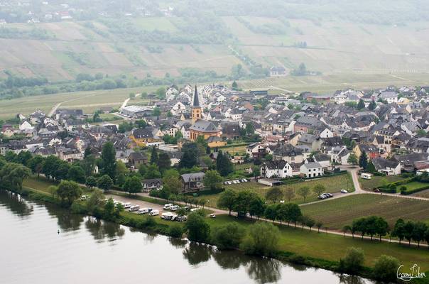 Vue sur Trittenheim