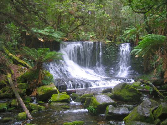 Waterfall, Mount Field national park, Tasmania, Australia