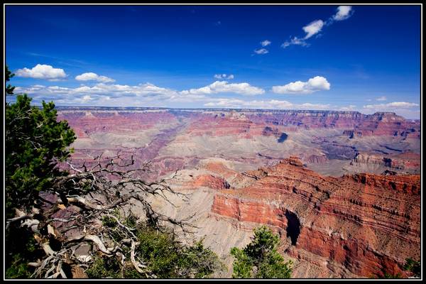 Grand Canyon N.P.