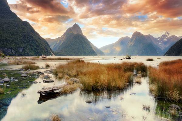 Milford Sound & Reflections