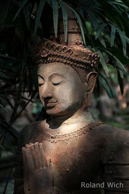 Chiang Mai - Buddha Statue