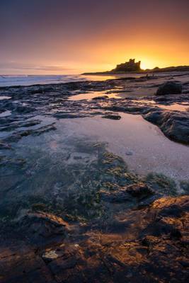 Sunrise at Bamburgh Castle #8, Northumberland, North East England