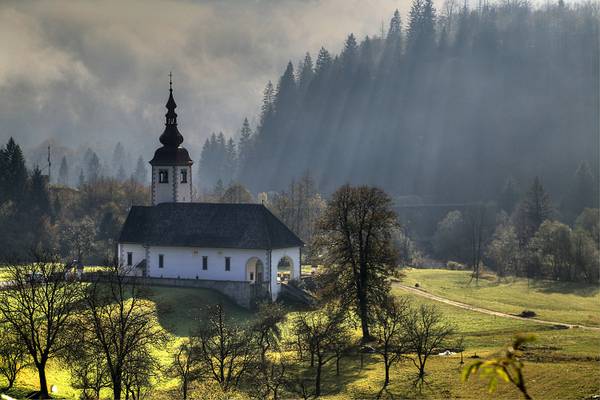 Bohinj Morning