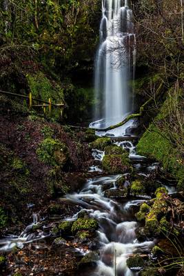 Craigie Linn