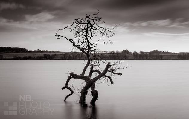 Roughrigg Res. (explored)