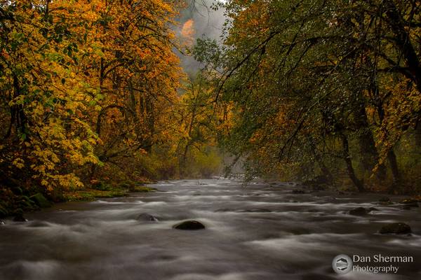 Little Luckiamute River